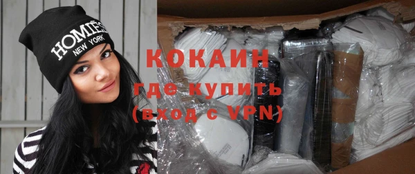 хмурый Инта
