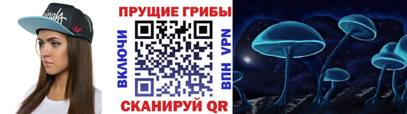 Псилоцибиновые грибы Cubensis  Киселёвск 